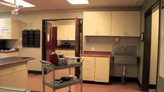 All Pet Complex Hospital Tour