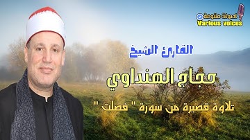 القارئ الشيخ حجاج الهنداوي تلاوة قصيرة من سورة فصلت