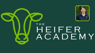 Managing Heifer Inventory
