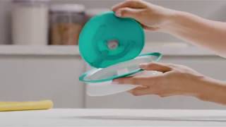 OXO Tot Stick & Stay Suction Plate