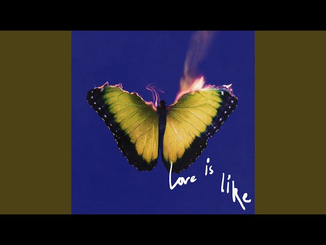 Love Is Like