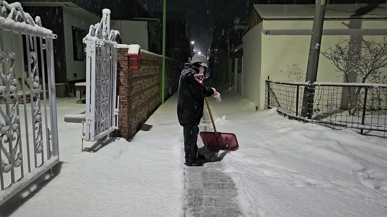 ❄️눈❄️내리는 태백 아침06시 출근길에 인사드립니다 (여러분 눈길 조심히 다니세요)