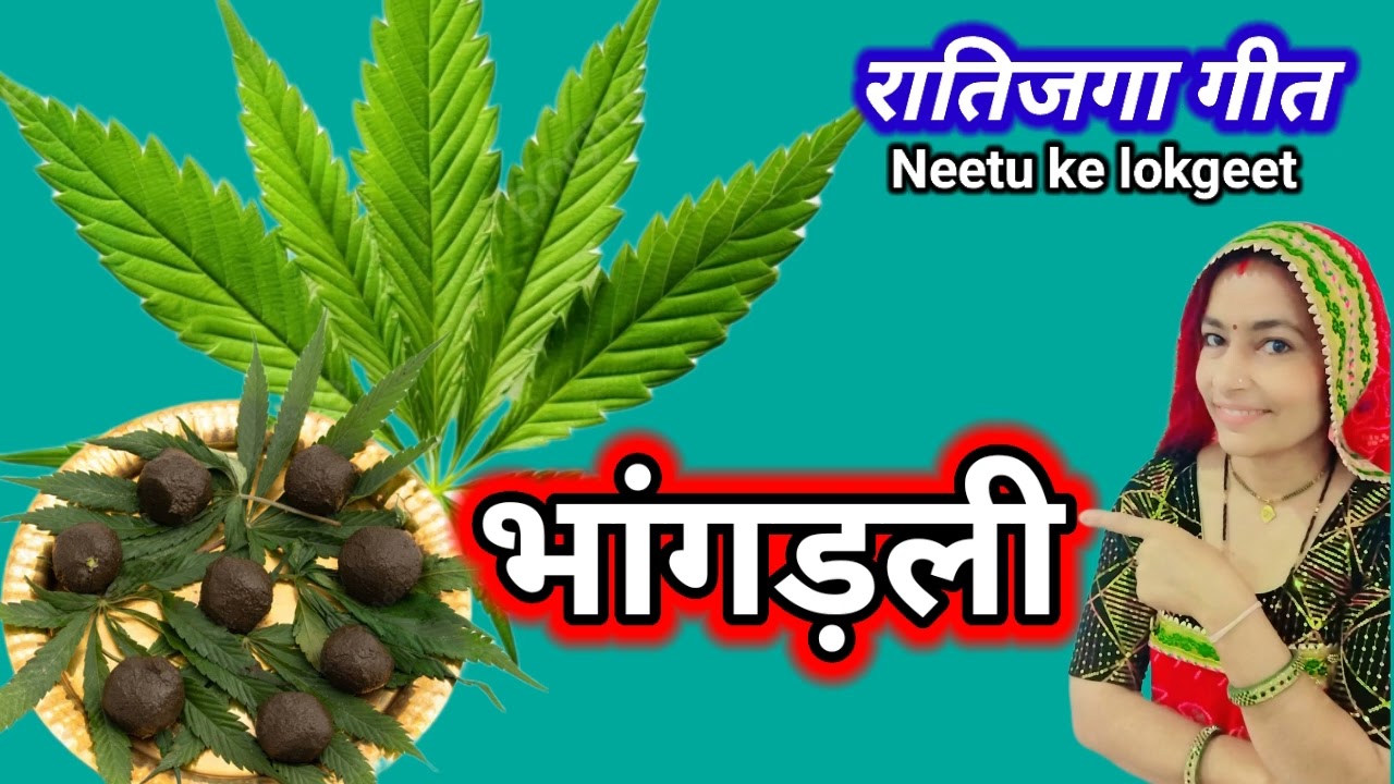 रातीजोगा गीत🌹कोरी कोरी टीबड़ी पर भांग बुवाई कोई सूरड़ सूरड़ पत्ता ल्याई देखो जी @Neetukelokgeet