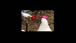 Cut Valve Logo For The Index Vr Thingy