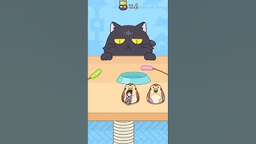 Hide and Seek | Bonus Level 16 Records 9 Cat Gameplay Android/iOS Mobile Casual Game #shorts #gaming