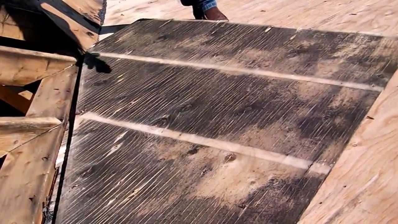 WOW Roofing and Insulation Mold Removal YouTube