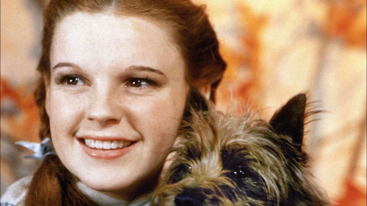 UNBOXING Dorothy Toto Diamond Art Club DAC A Beautiful Gift From unboxing-dorothy-toto-diamond-art-club-dac-a-beautiful-gift-from