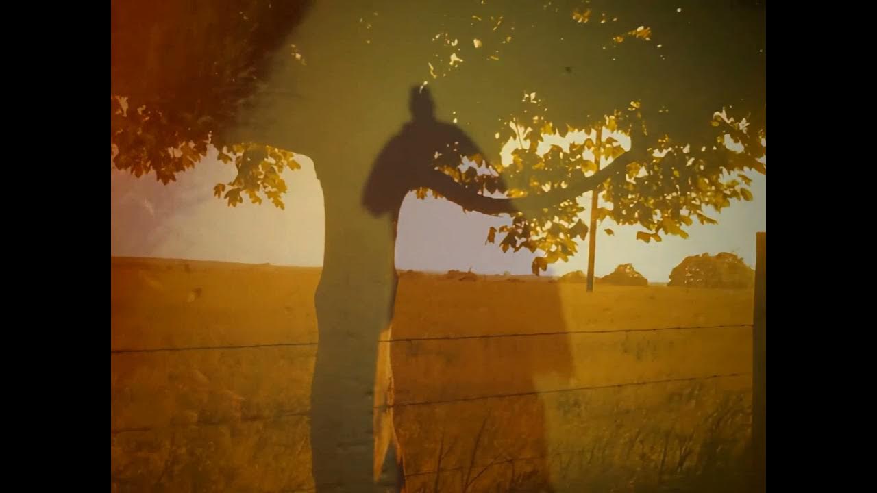 Boards Of Canada Finity HD YouTube