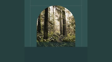 Sublime Backdrops for Calming Sunday