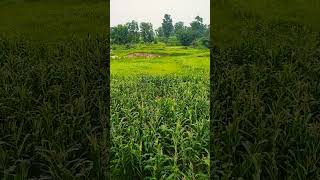 https://youtube.com/@noorifatima6472?si=zyTMSbi_RAhyUv07
