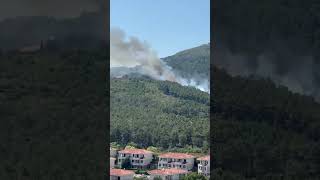 Aydos Ormanı Yanıyor. 🔥 Resimi
