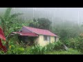 Jamaican rain sounds for sleeping immersive sounds of heavy rainfall across the countryside