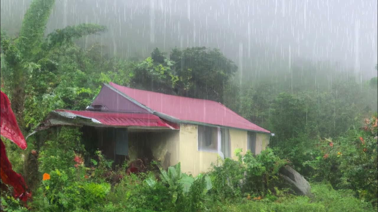 Jamaican Rain Sounds for Sleeping Immersive Sounds of Heavy Rainfall