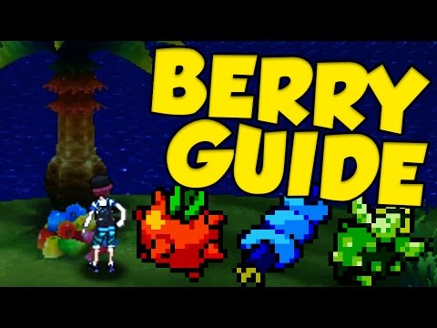 pokemon sun and moon all berry locations ev resetting in pokemon