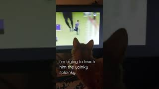 Cat Loves Jerma