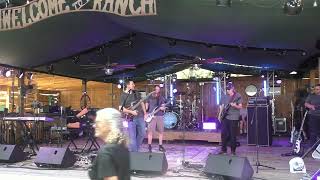 2026 POTR  Hedgehog Shrub   Steven Wilson tribute set  cR