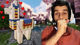 MİNECRAFT LAMA BULDUM!!