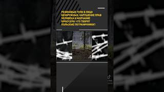 Резиновые пути в лицо безоружных, нарушение прав человека: что творят польские пограничники #shorts