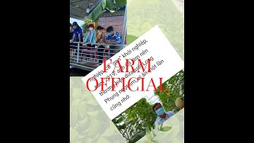 Doanh nhân áp dụng công nghệ 4.0 trồng dưa lưới thu nhập mỗi năm tỷ đồng| Farm Official | 6 DỀ Vlog