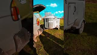 Перевозка собак #авточайники #autochainiki #дрессировка #дрессировкасобаки #дрессировкащенка #щенок