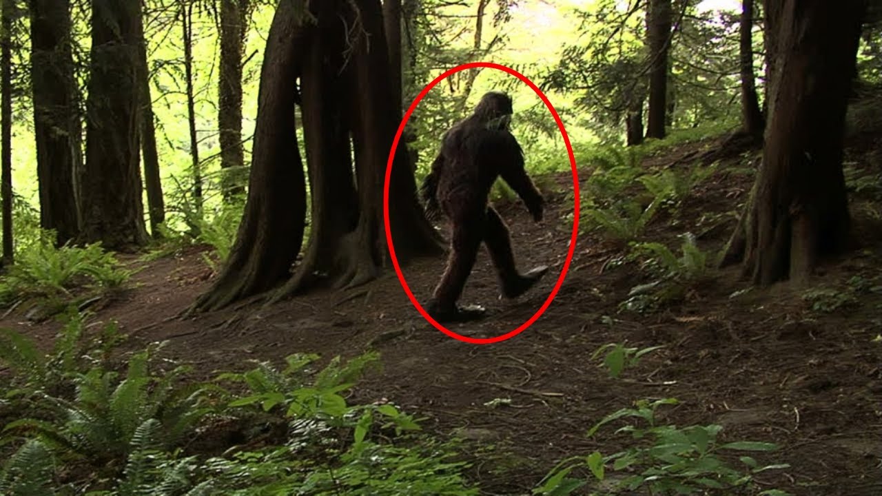 Disturbing Bigfoot Encounters Caught on Tape
