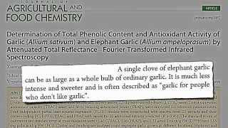 Cancer, Interrupted: Garlic & Flavonoids| Just For Tips