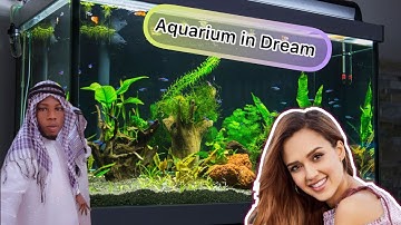 He & she Dream see Aquarium what happens in reality even if u watch on CNN you can’t believe it free