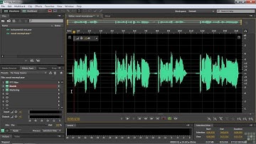 Saving Effects Rack Presets | LEARNING ADOBE AUDITION CS6 TRAINING VIDEO