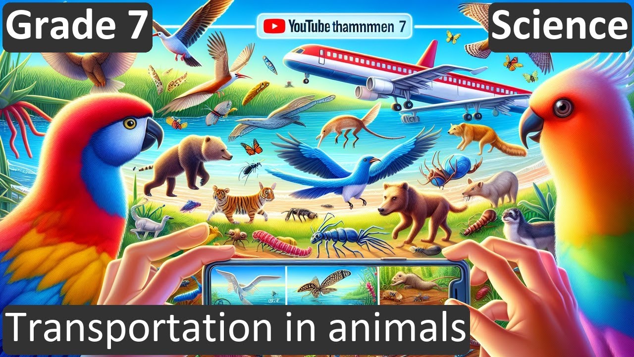 Grade 7 Science Transportation in animals Free Tutorial CBSE