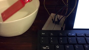 Raspberry Pi with Flame and Water Sensor