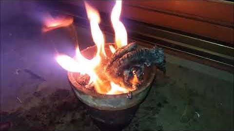 Science experiment: The Fire Snake