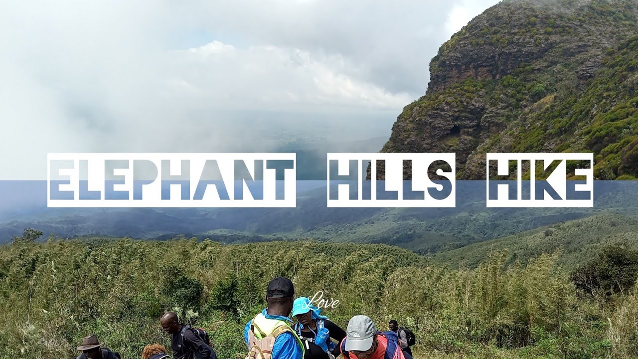 THE ELEPHANT 🐘 HILLS HIKE | Trail of elephant hills| hacks for hiking | Steffi Nixon