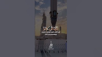 🌌 خشوع وسكينة في تلاوة قصيرة مؤثرة