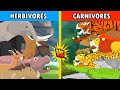 Carnivores animal vs herbivores animal s1  animal animation