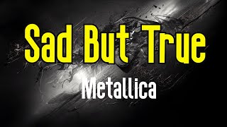 Video thumbnail of "Sad But True (KARAOKE) | Metallica"