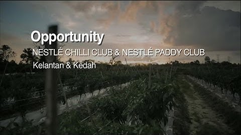 NESTLÉ CHILLI CLUB and NESTLÉ PADDY CLUB