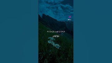 الشيخ ياسر الدوسري - سورة الرحمن 😴🎧