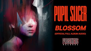 PUPIL SLICER  - 'BLOSSOM' (OFFICIAL FULL ALBUM AUDIO)