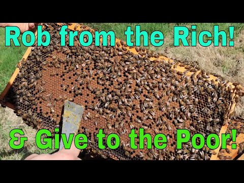 🔵Stopping a swarm