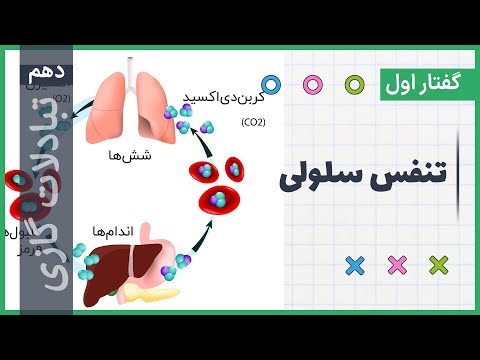 زیست دهم: تبادلات گازی: تنفس سلولی