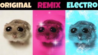 Sad Hamster Original vs Remix vs Electro Version part 2