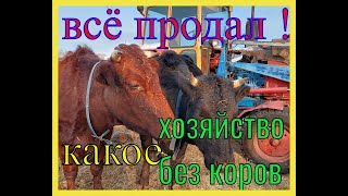 видео: Продал последнюю дойную корову Баженит сбегает из глухой Сибирской деревни в большой город на пенсию картинка: Продал последнюю дойную корову Баженит сбегает из глухой Сибирской деревни в большой город на пенсию