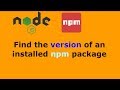 Find the version of an installed npm package