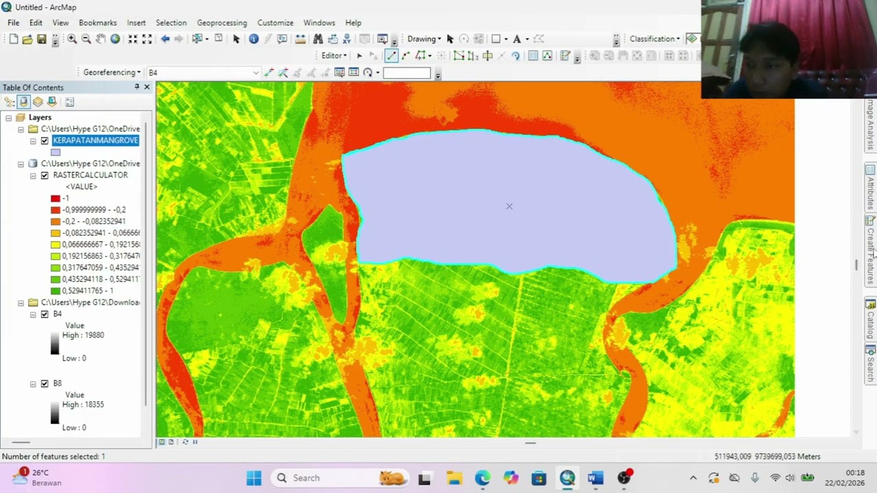 PENGINDERAAN JAUH MANGROVE