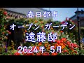 【4K オープンガーデン遠藤邸2024 薔薇の最盛期🌹見頃になりました!】沢山のオブジェと季節のお花に囲まれた個人邸