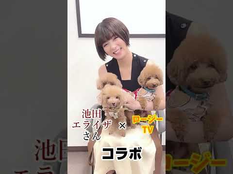 池田エライザさんｘロージーＴＶコラボ撮影！【コラボ】　＃shorts