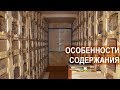 ОСОБЕННОСТИ СОДЕРЖАНИЯ ПЧЁЛ В КАССЕТНЫХ ПАВИЛЬОНАХ. Пасека Берендей.