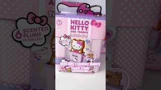 Super cute treatz 💕 #hellokitty #cinnamoroll #unboxing #cookeezmakery #cottoncandyky_playz #fyp