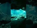 it's getting darker here... #ghostdiversvideos #sidemount #cavediving #sidemountdiving #techdiving
