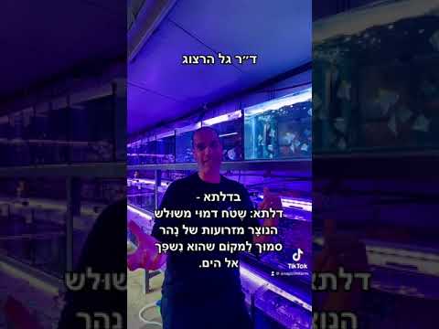 דגי מים מליחים. מה זה?